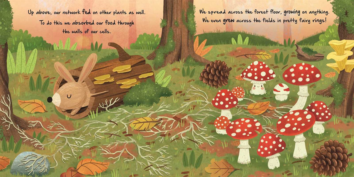 Nature Stories: Little Mushroom-Discover an Amazing Story from the Natural World by IglooBooks