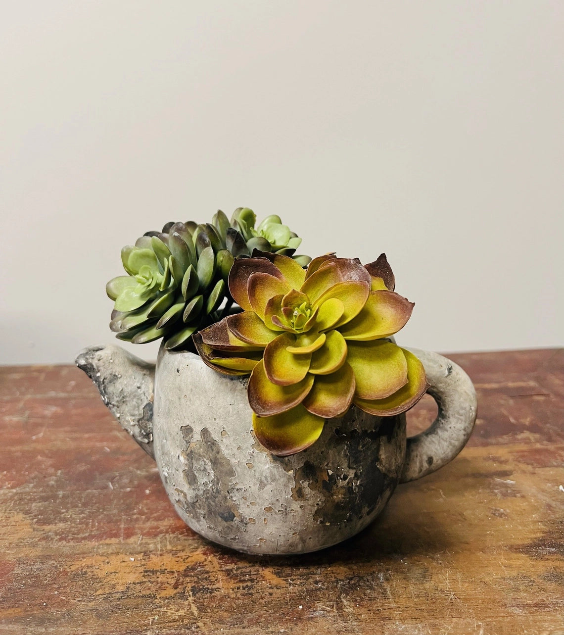 Cement Rustic Teapot Succulent Planter