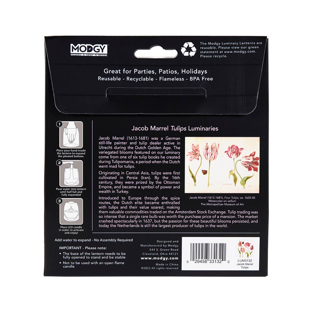 Luminary Lantern - Jacob Marrel Tulips
