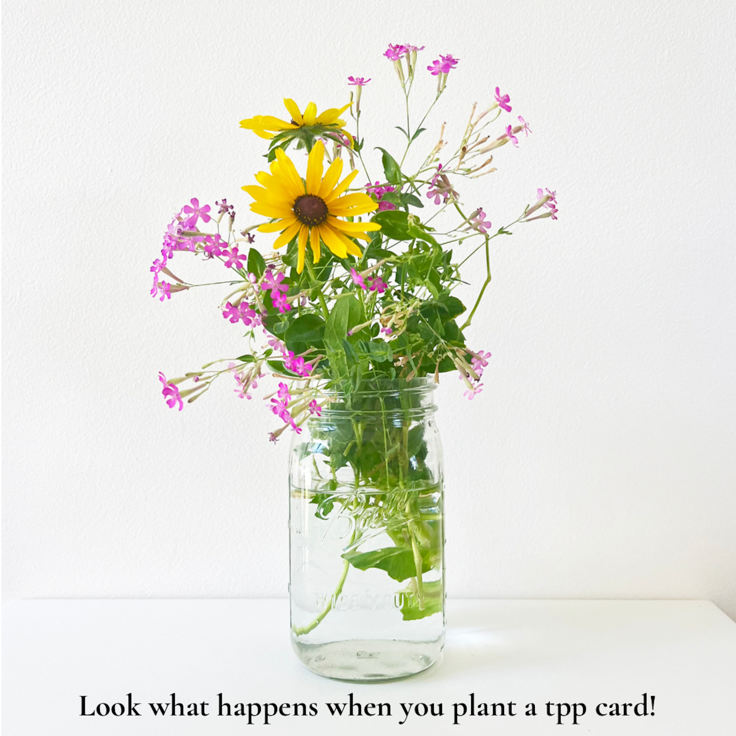 Your Power: Plantable Wildflower Graduation Card