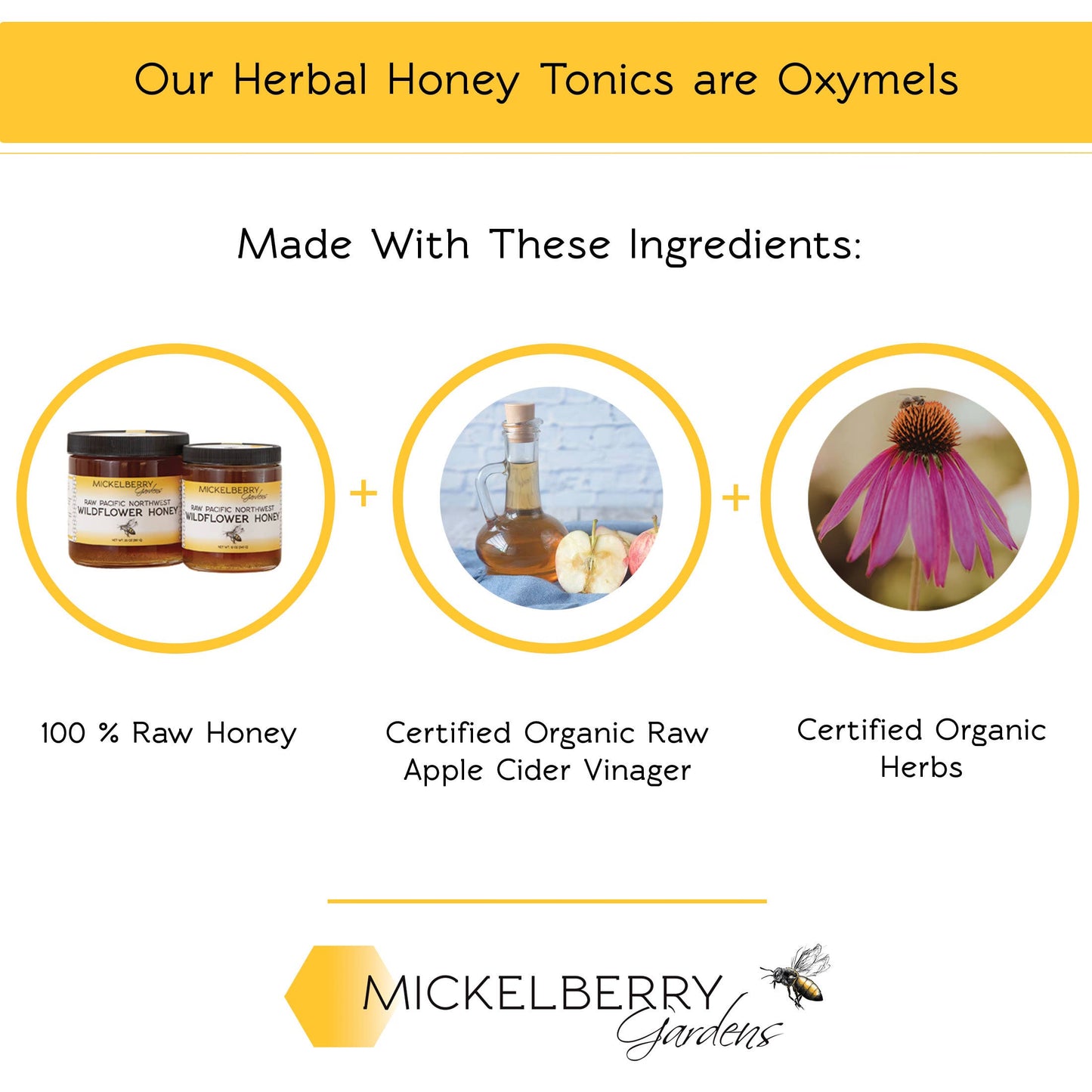 Elderberry Honey Tonic — immune support for kids and adults