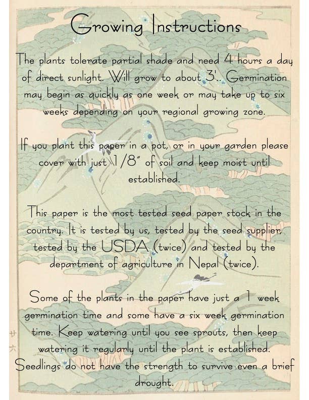 Plantable Seed Card || Zero Waste || Supports Women