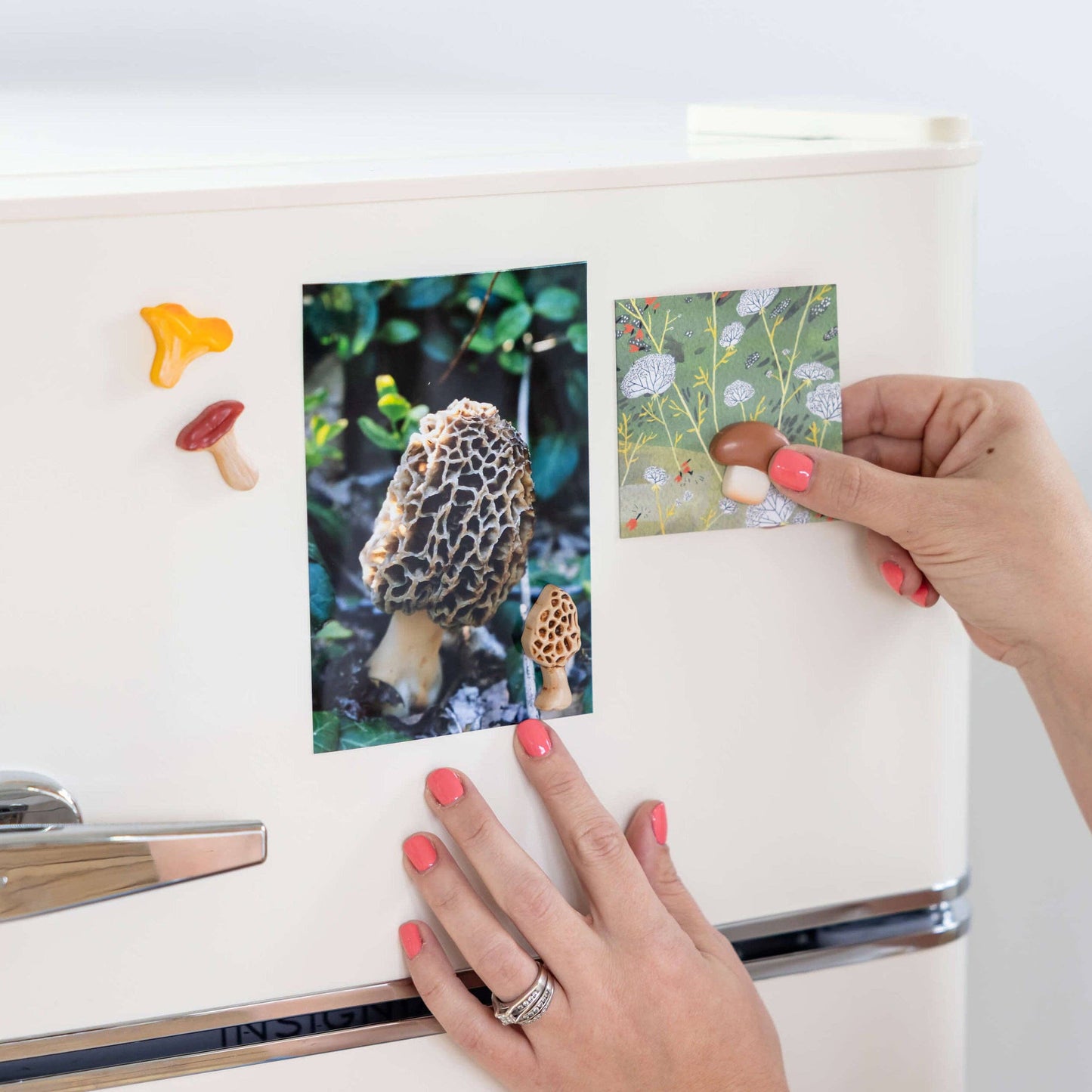 Mushroom magnets