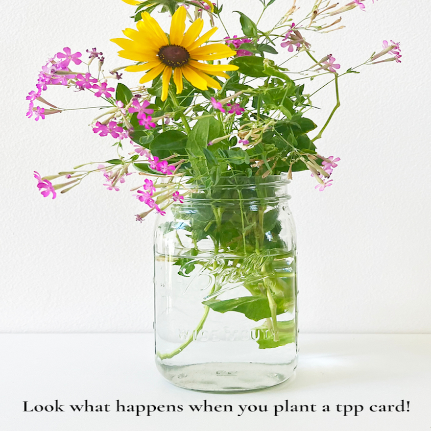 Leave the Shore Behind: Plantable Wildflower Card