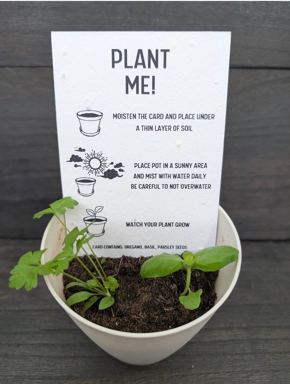 MOM: Plantable Herb Seeded Card