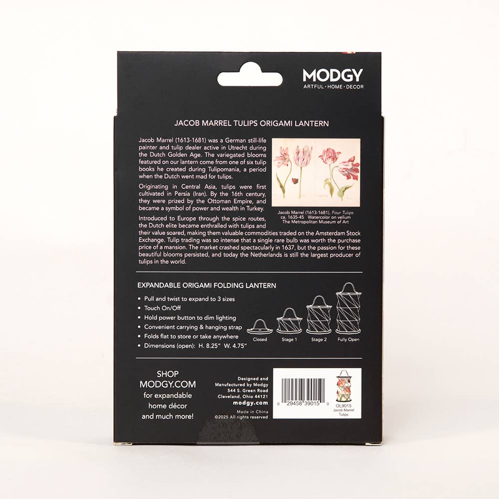 Modgy Jacob Marrel Tulips Origami Lantern
