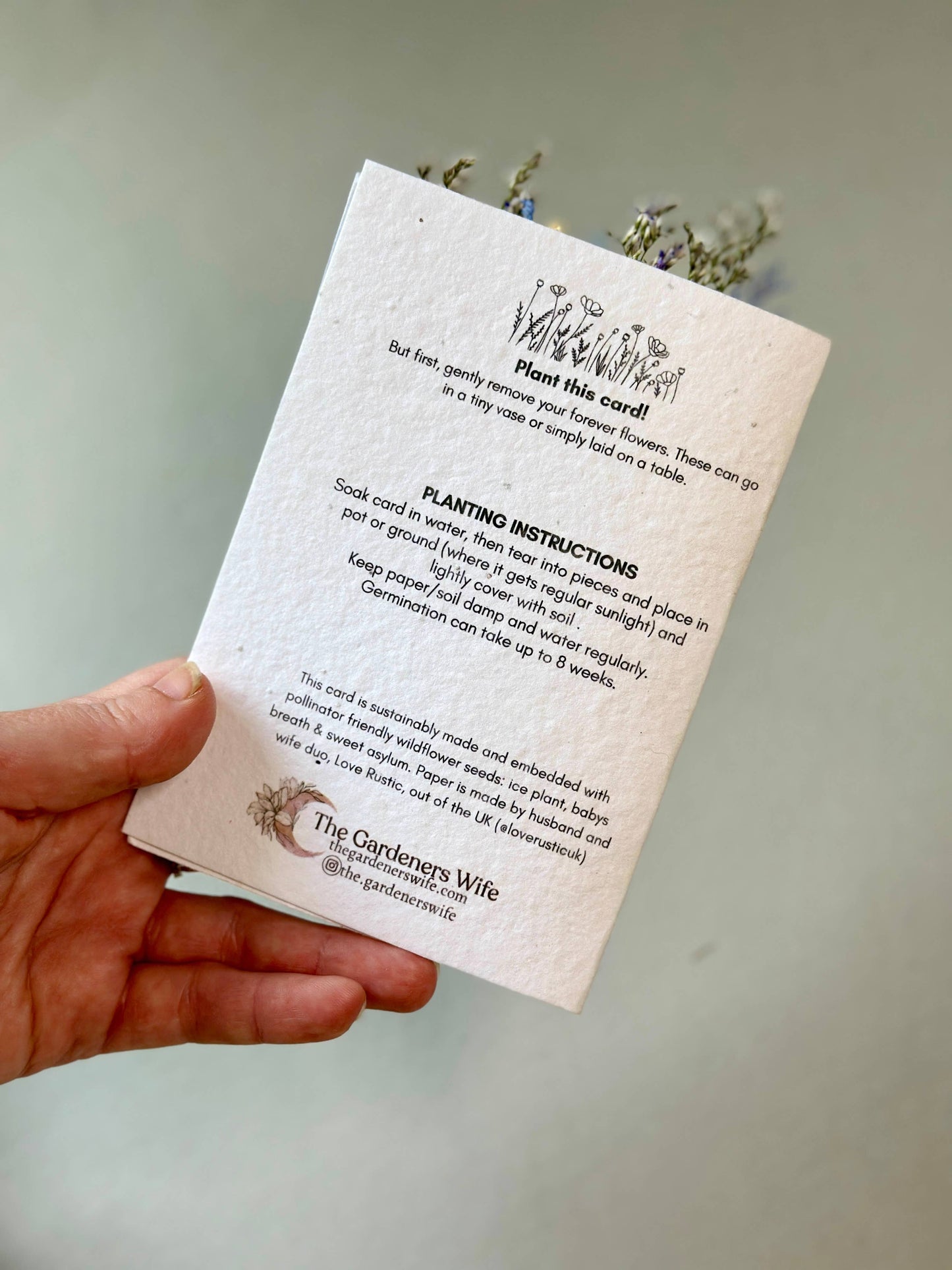 Wildflower Seed Card + Tiny Bouquet | Thankful