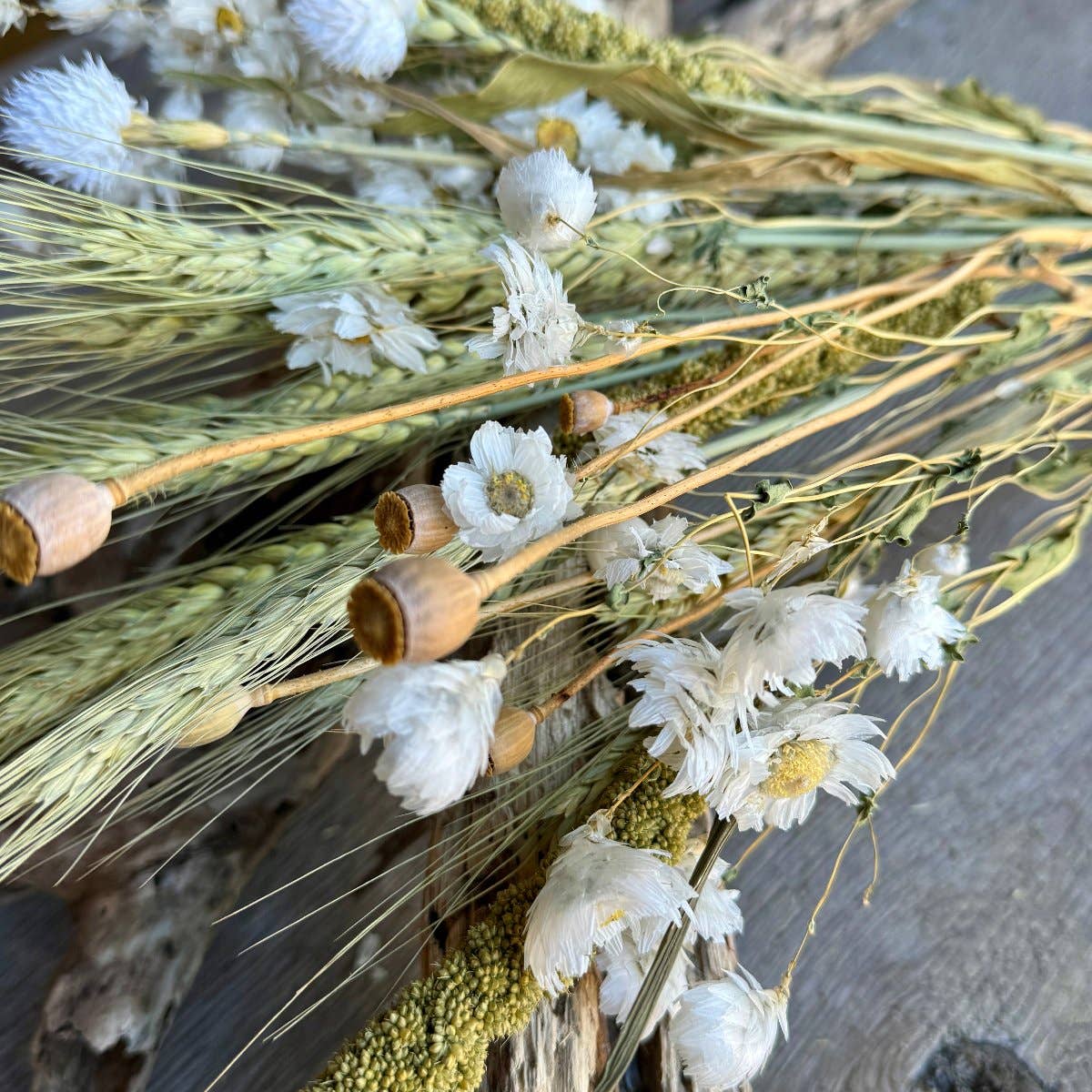 Pearly Everlasting Bouquet