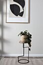 Wassily Stand 12"x 21.5"