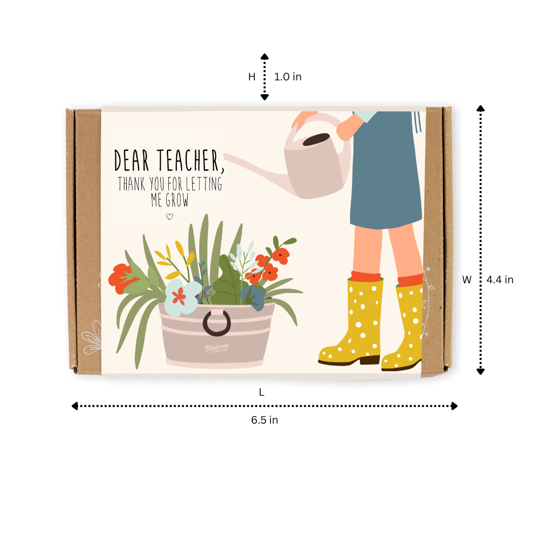 Small “Dear Teacher” Seed Bomb Box – 7 Wildflower Gift Balls