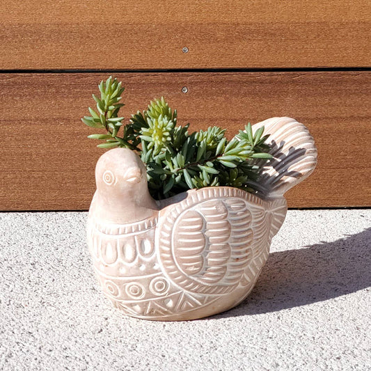 Handmade Planter Pot • Terracotta Pot - Turtle Dove