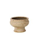 Cadmus Compote 6.25"x 4.25"
