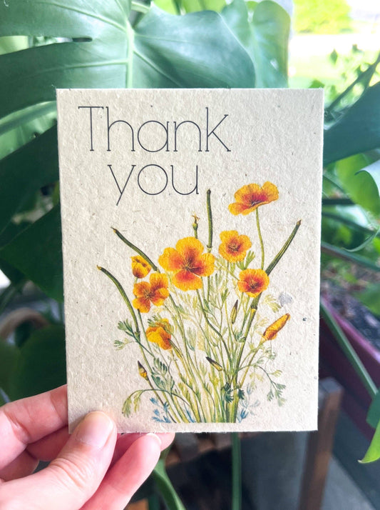 Plantable Seed Card || Zero Waste || Supports Women