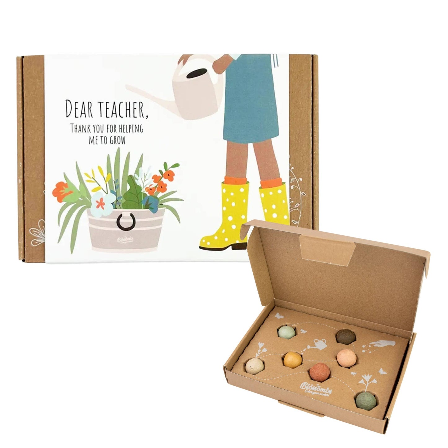 Small “Dear Teacher” Seed Bomb Box – 7 Wildflower Gift Balls