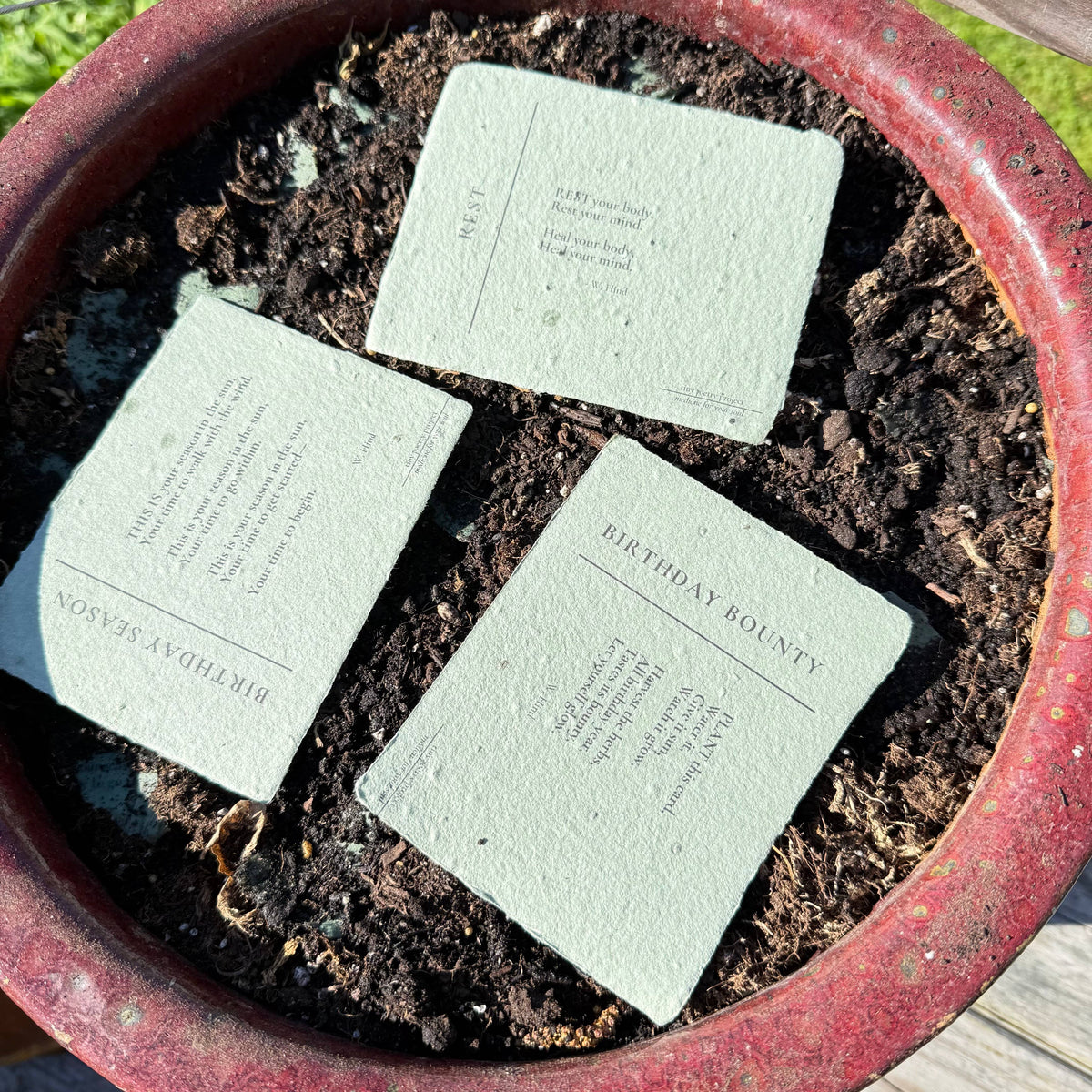 Exceptional Birthday: Plantable Flower Seeded Birthday Card