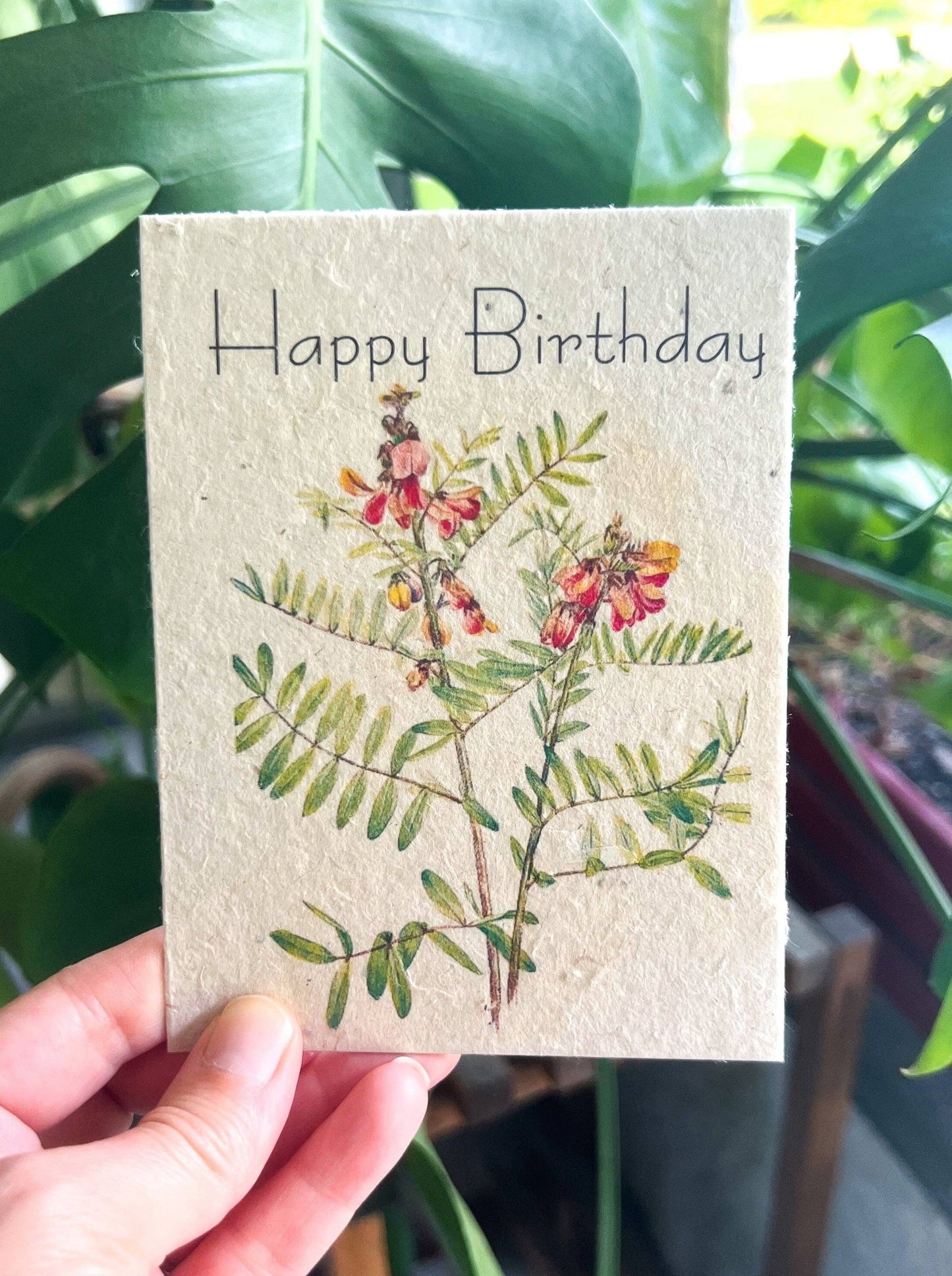 Plantable Seed Card || Zero Waste || Supports Women
