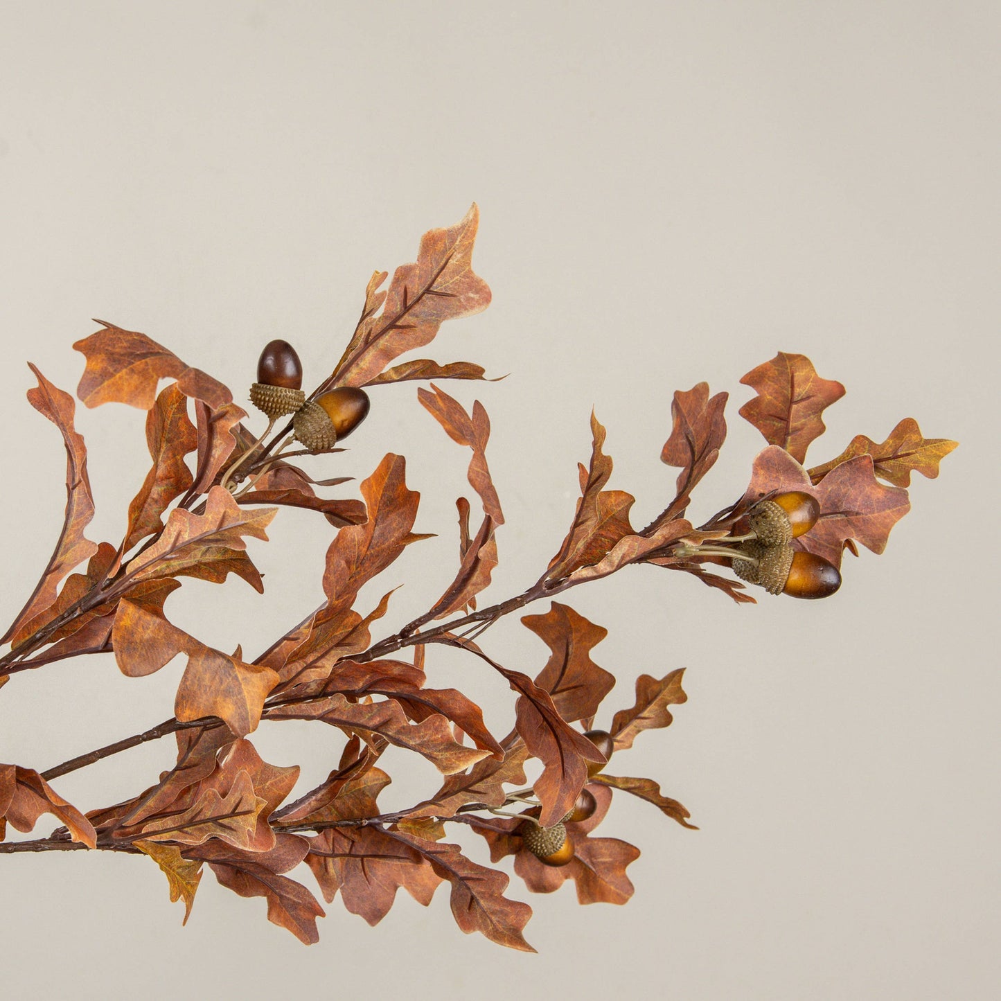 39" OAK & ACORN SPRAY