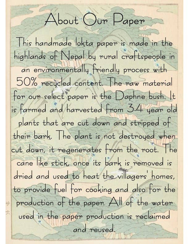 Plantable Seed Card || Zero Waste || Supports Women
