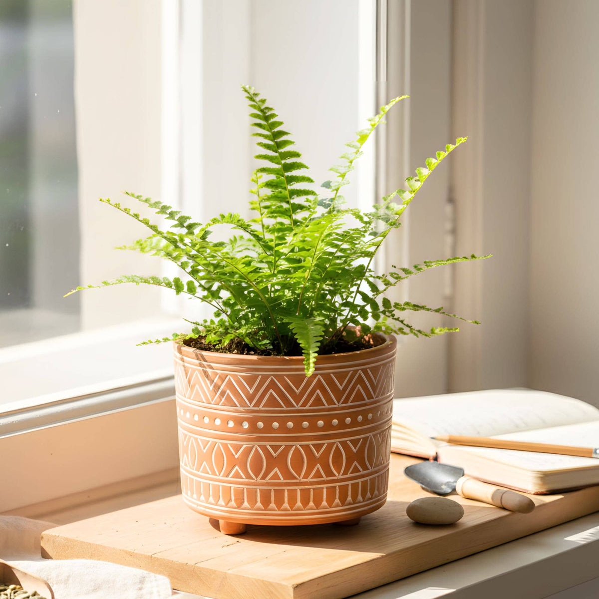 5.5" Handmade Pot Planter • Hand Etched Terracotta Pot-Small