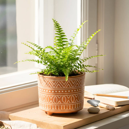 5.5" Handmade Pot Planter • Hand Etched Terracotta Pot-Small