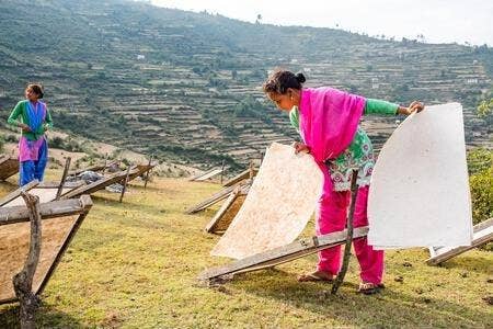 Plantable Seed Card || Zero Waste || Supports Women