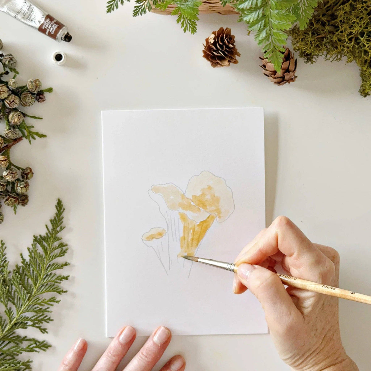 Mushrooms paintable watercolor notecard set