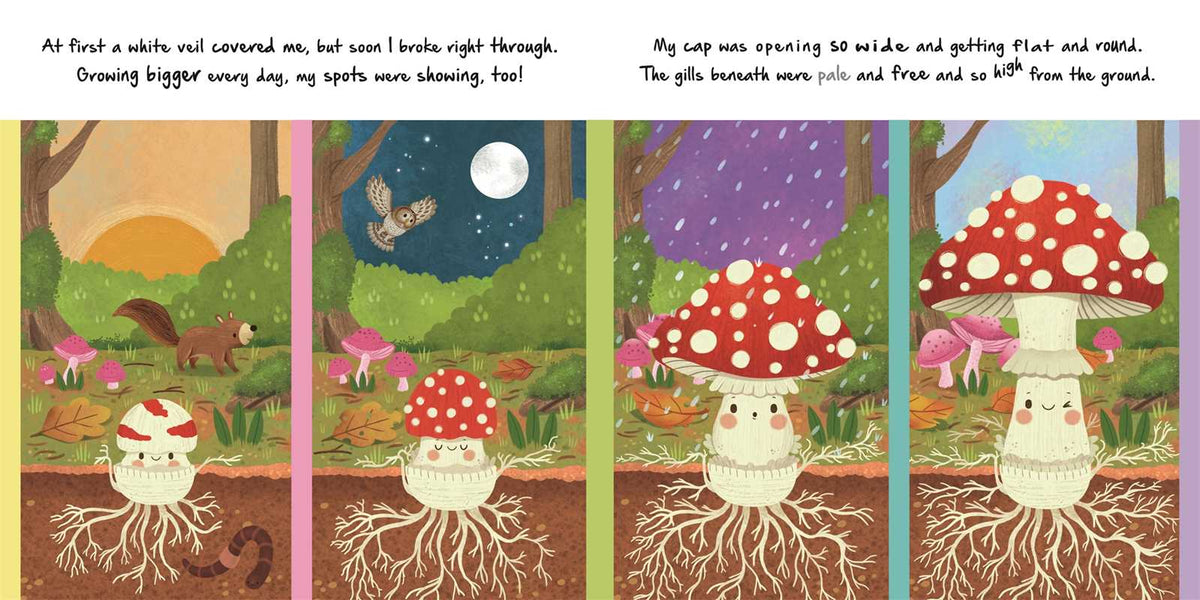 Nature Stories: Little Mushroom-Discover an Amazing Story from the Natural World by IglooBooks