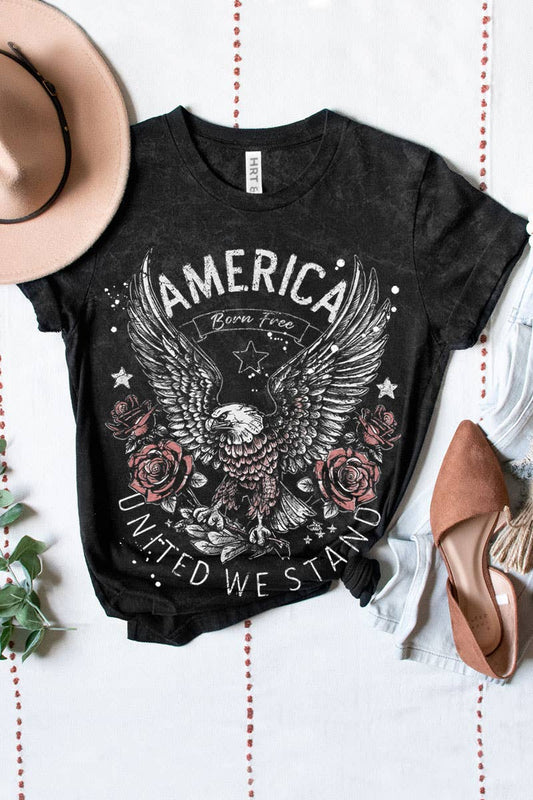 AMERICA UNITED WE STAND MINERAL GRAPHIC TEE