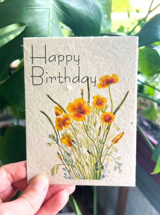 Plantable Seed Card || Zero Waste || Supports Women
