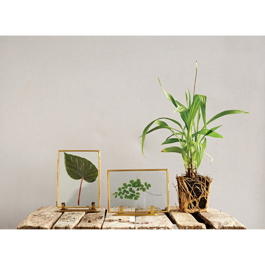 Brass and Glass Photo Frame, 2 Styles