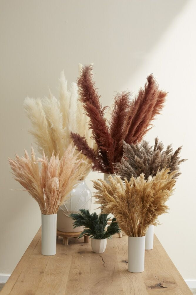 Pampas Grass Pack of 6 - 25.5" - Tan