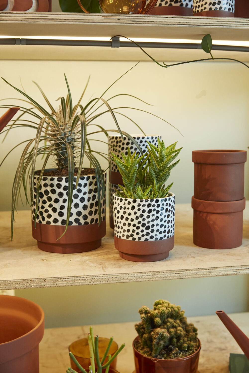 Lassen Pot 6"x 6"